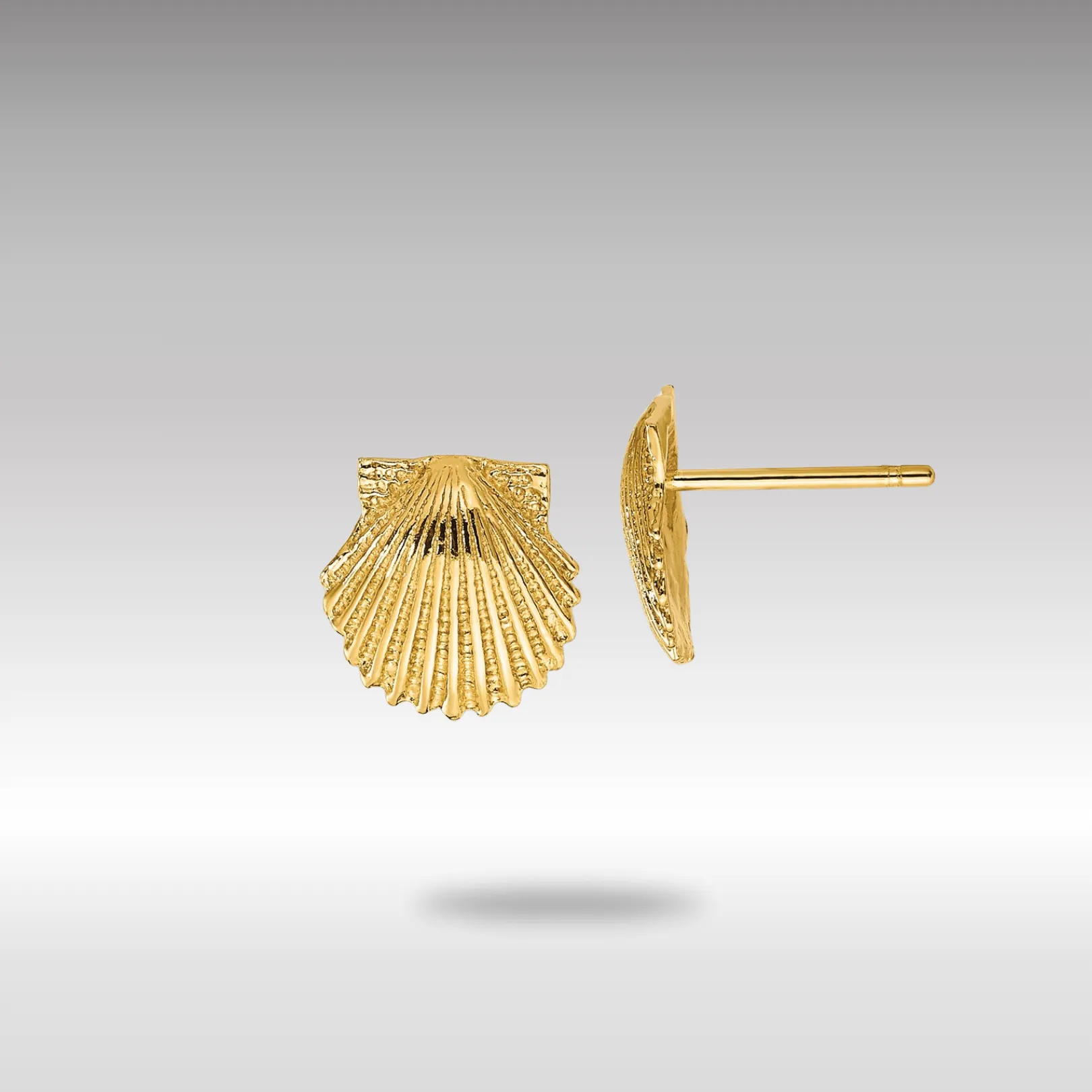 Gold Scallop Shell Post Earrings - Model TC569